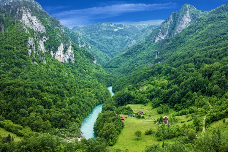 Artikli foto