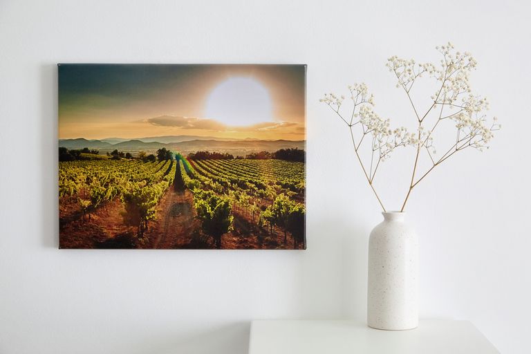Например, по словам Дэниэля, такое случайное изображение виноградника - не лучшее украшение для стены.