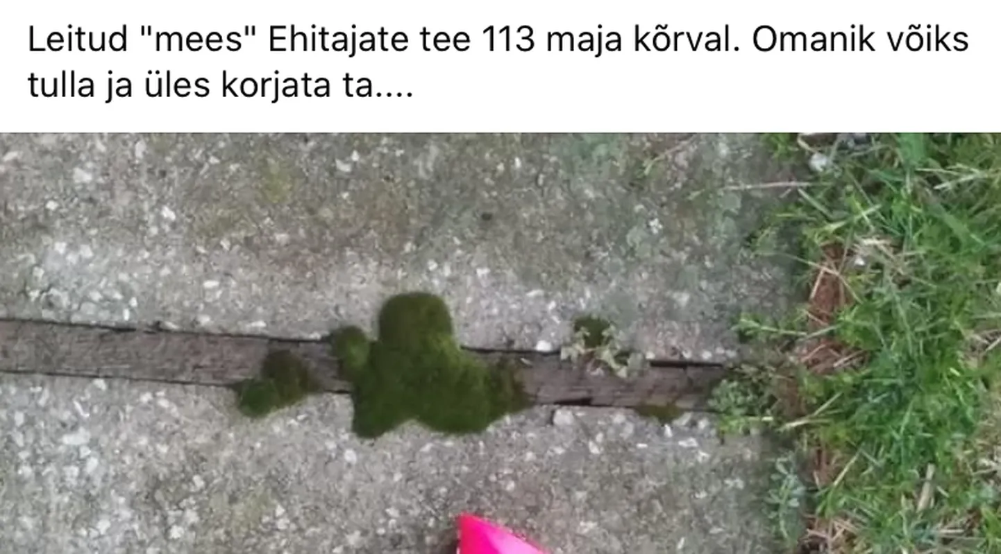 Фото статьи