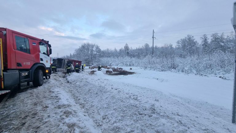 Pärnu–Rakvere–Sõmeru maantee ja Lepplaane tee ristmiku lähistel läks ümber sigu vedanud auto.
