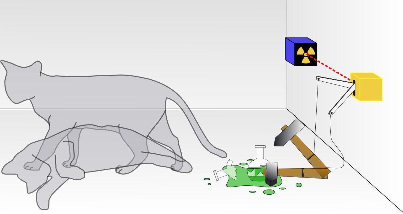 Schrödingeri kassi hüpotees