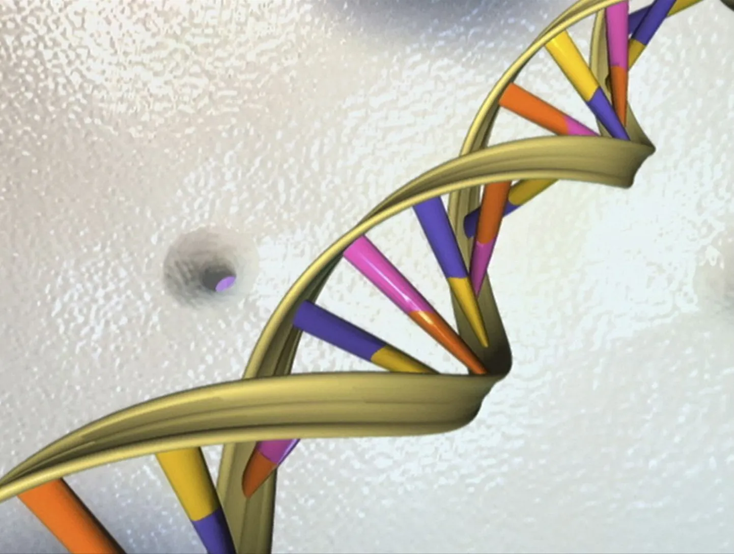 Kujutis DNA-st