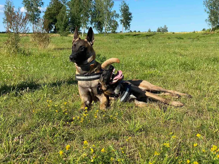 Mürada ja mängida peab samuti saama