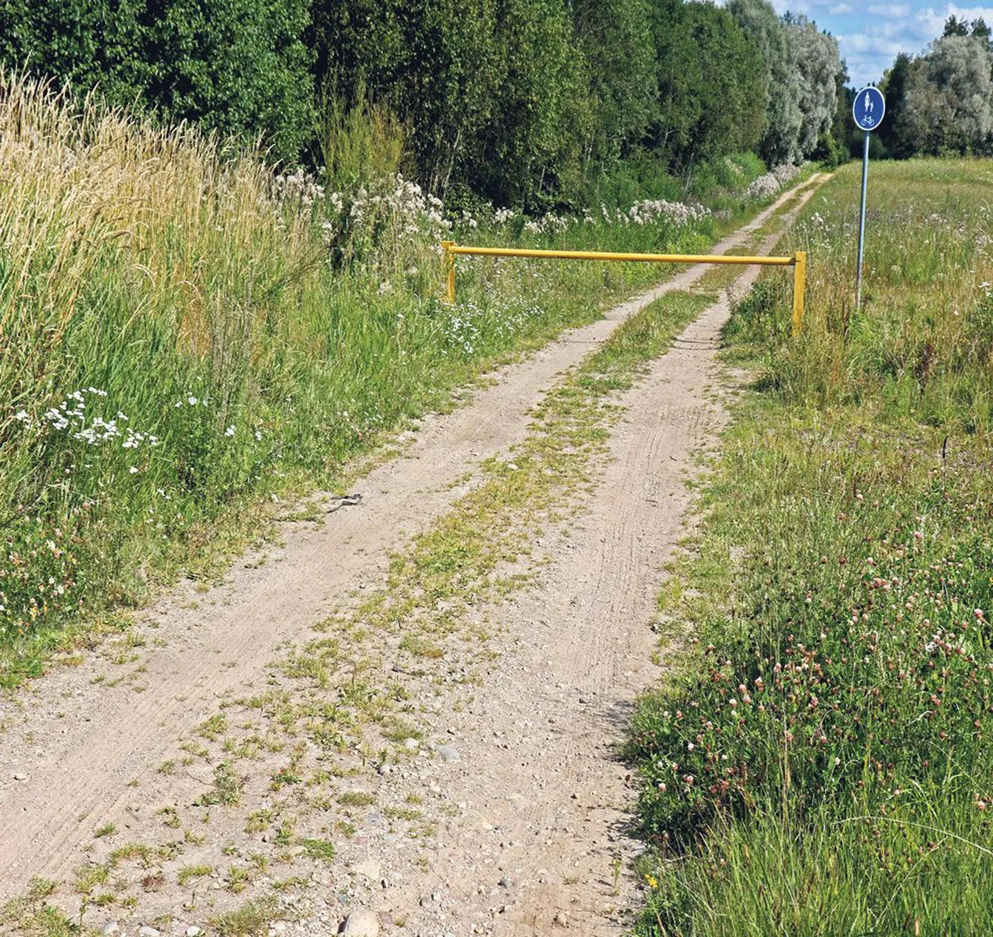 Tähtvere vald lasi Vorbusel Emajõe äärde Jänese matkarajale viivale teele panna ette tõkkepuu, sest  jõe äärde veeti autodega rämpsu. Tabalukuga tõkkepuu hoiab ilmselt paljud korralikud jõe äärest eemal. Samas saab sõita tõkkepuu kõrvalt ja heinas olevate jälgede järgi seda ka tehakse.