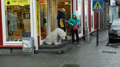 Artikli foto
