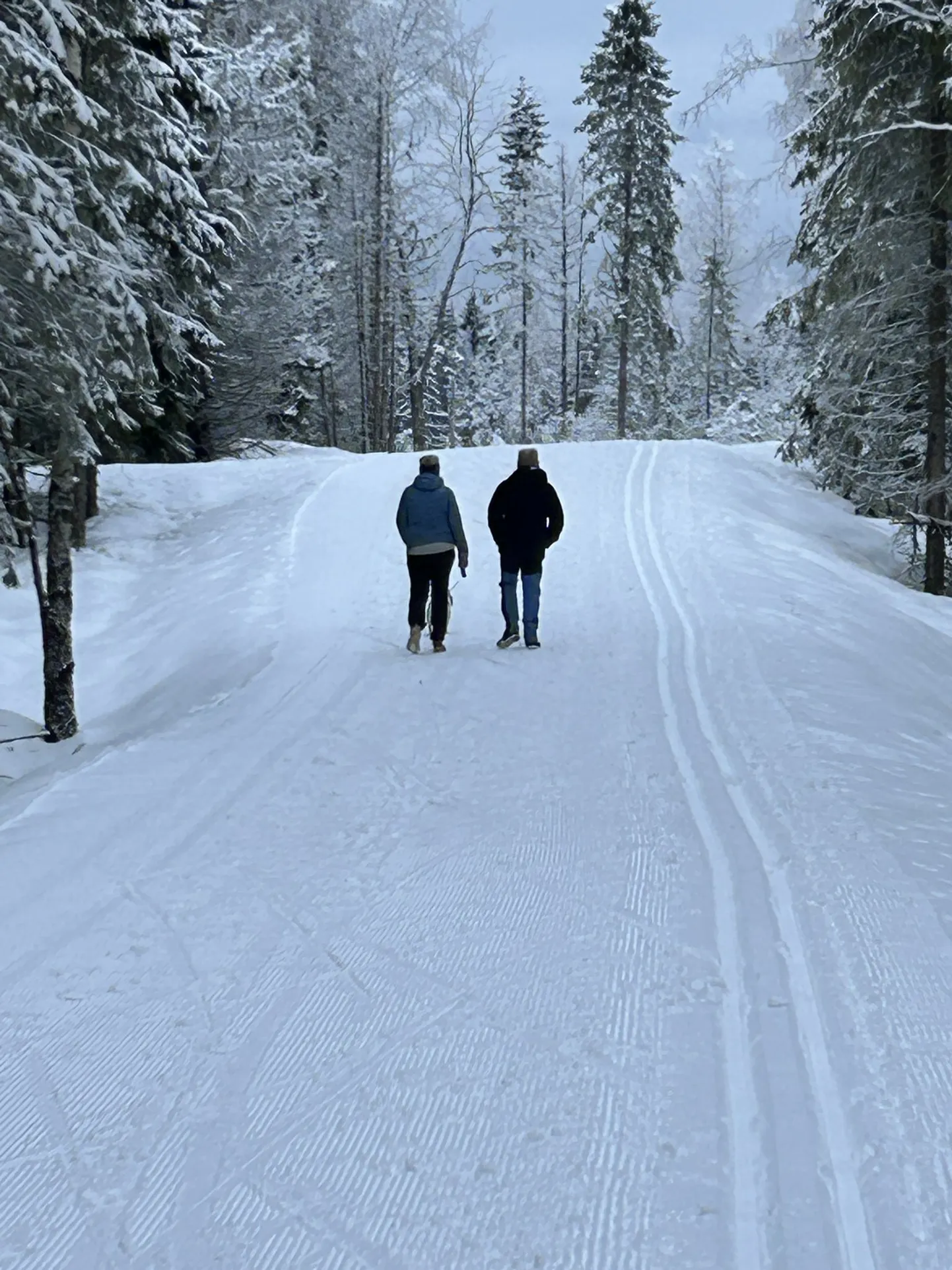 Прогуливающиеся по лыжне люди нервируют лыжников.