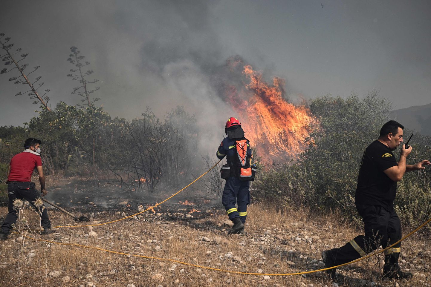 Греческие спасатели тушат ландшафтный пожар. Фото иллюстративное.