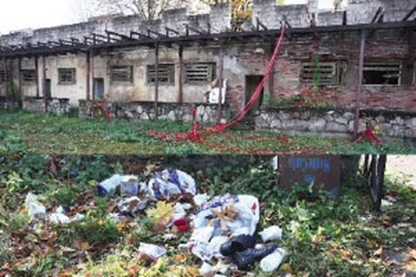 Raksta foto