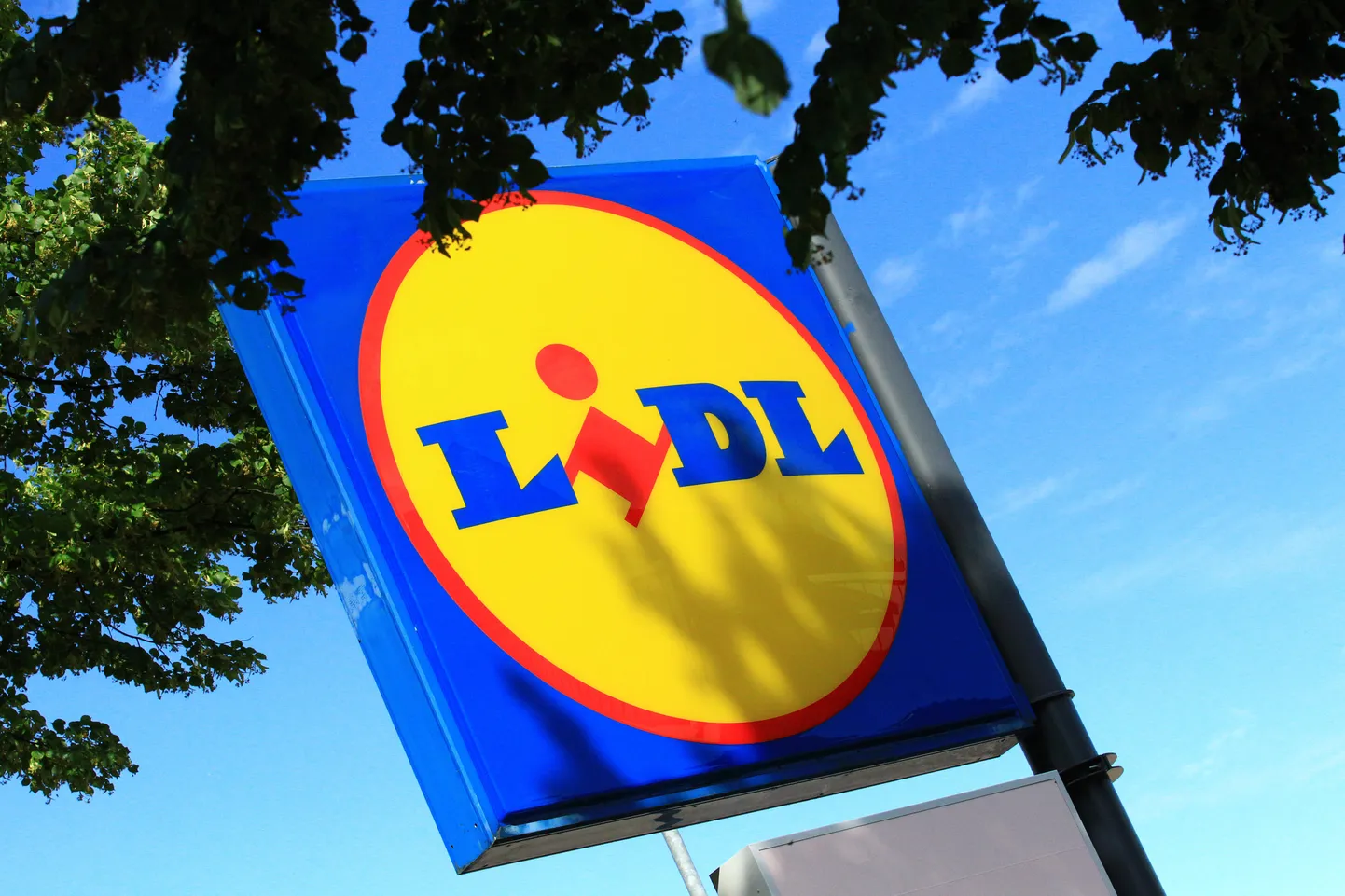 Lidl.