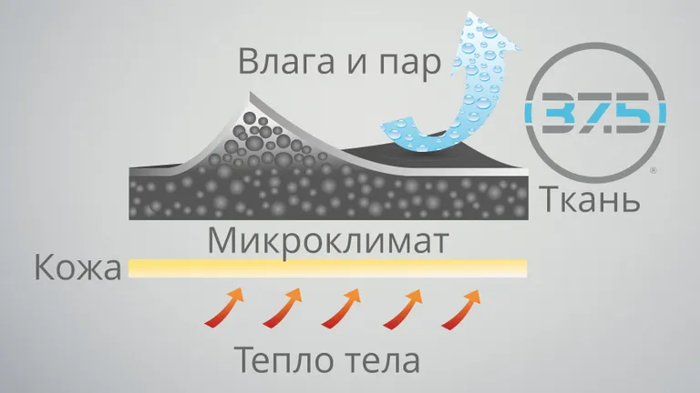 Фото статьи
