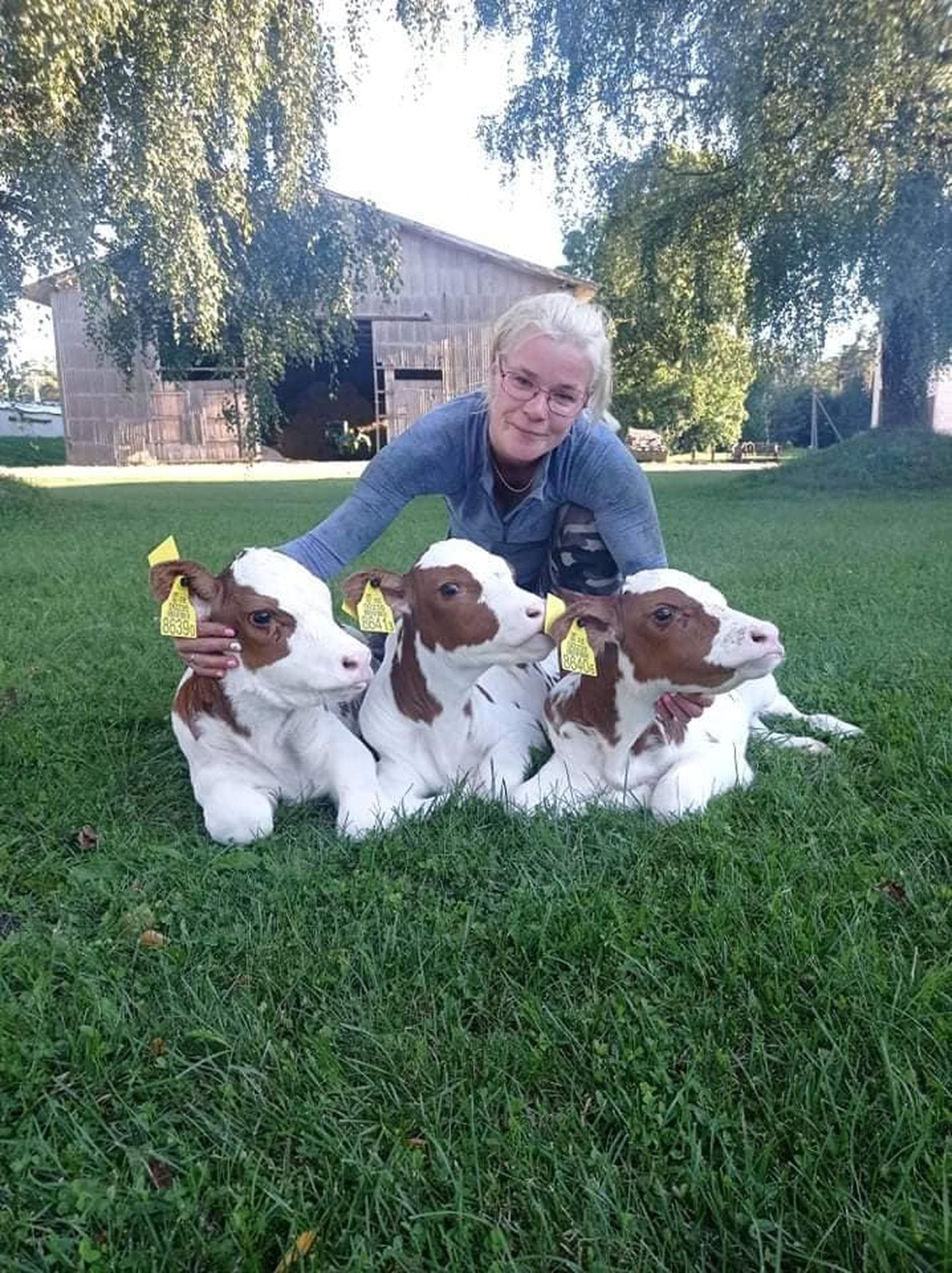 Farmitöötaja Mirja Saar reedel sündinud kolmikutega.