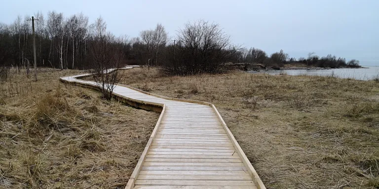 Paljassaare laudtee