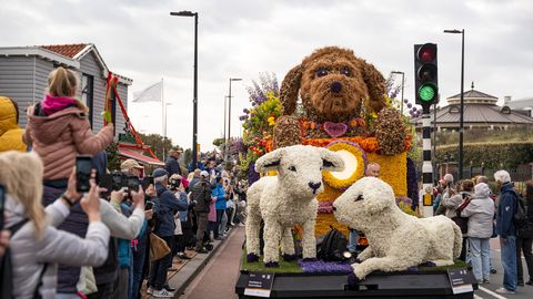 ВИДЕО ⟩ В Нидерландах прошел красочный парад цветов