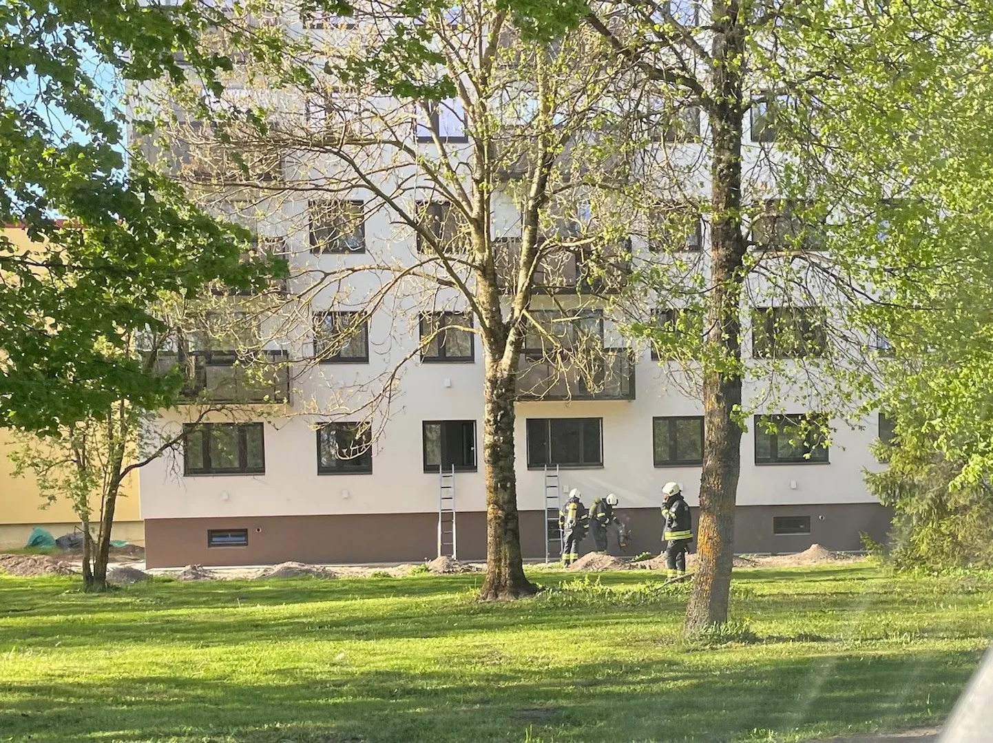 Artikli foto
