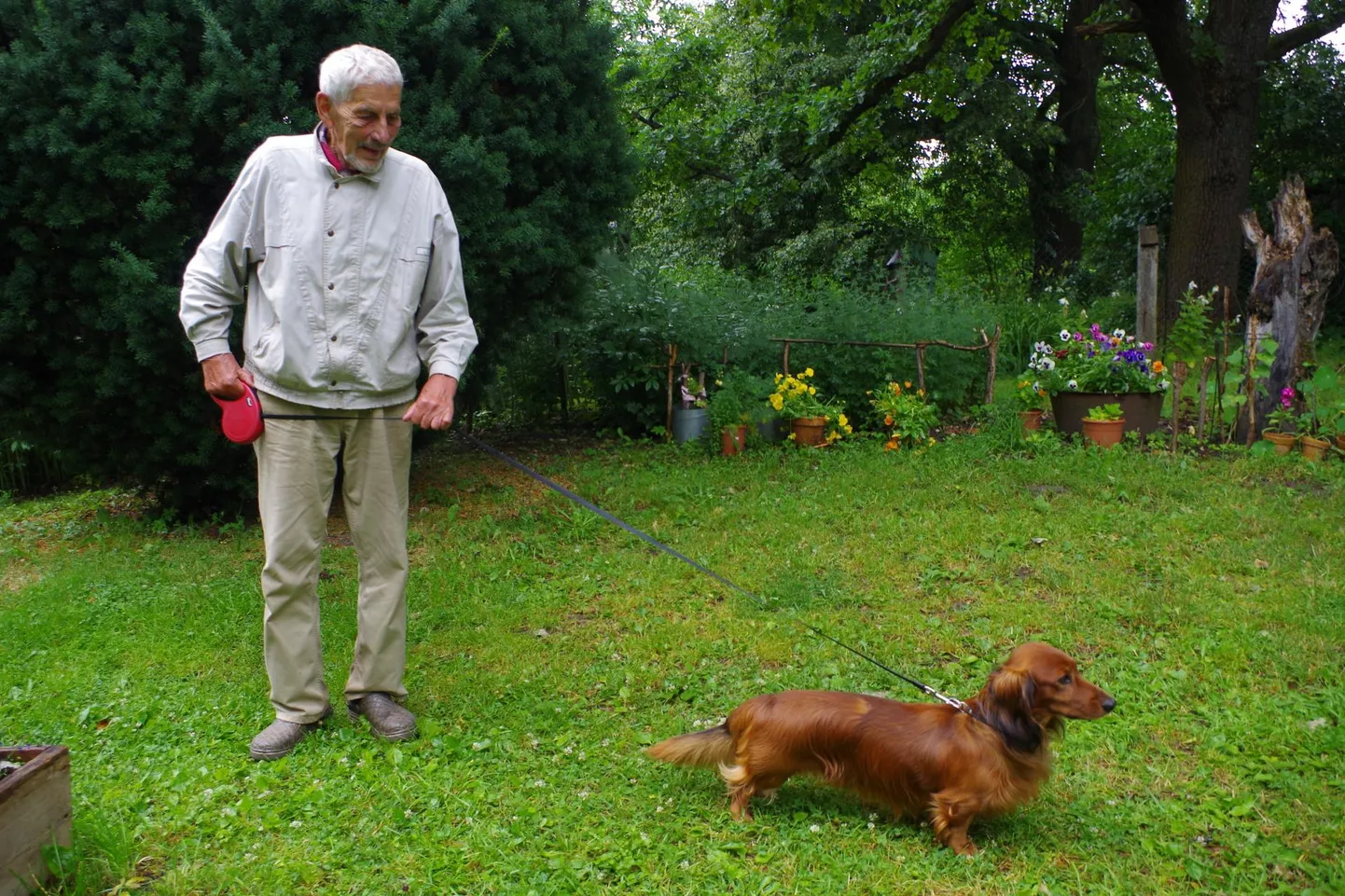 Koeral peavad mingid reeglid olema, mida ta võib ja mida ei või, ütleb oma taksikoera ka maal rihma otsas jalutav Valdur Raudvassar.