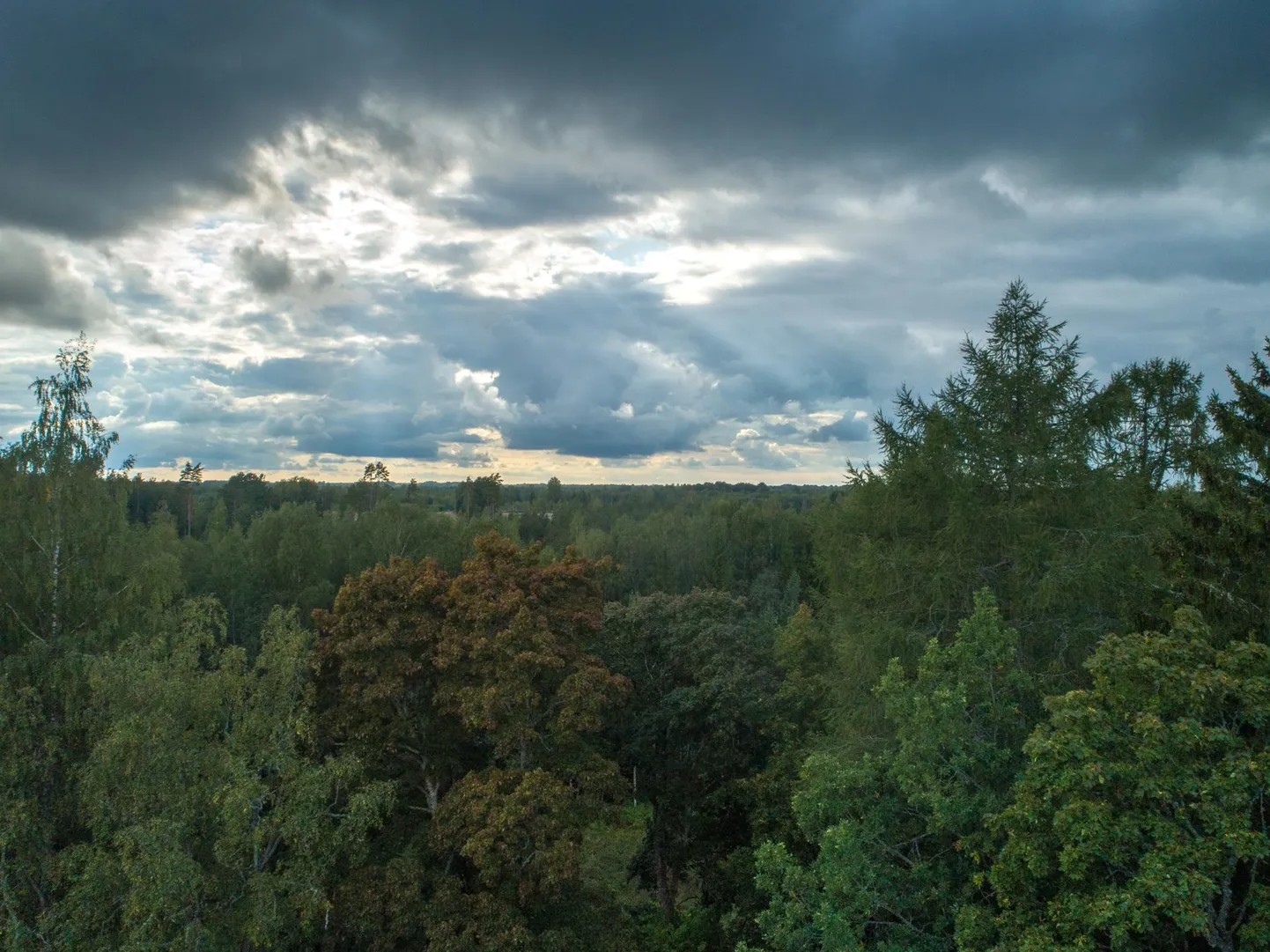 Tuleb pilvine, kuid võrdlemisi soe ilm.