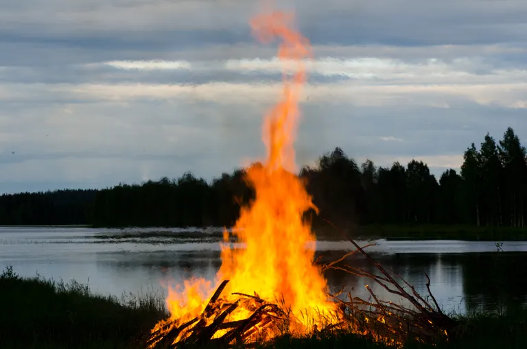Jaanilõke. Pilt on illustreeriv