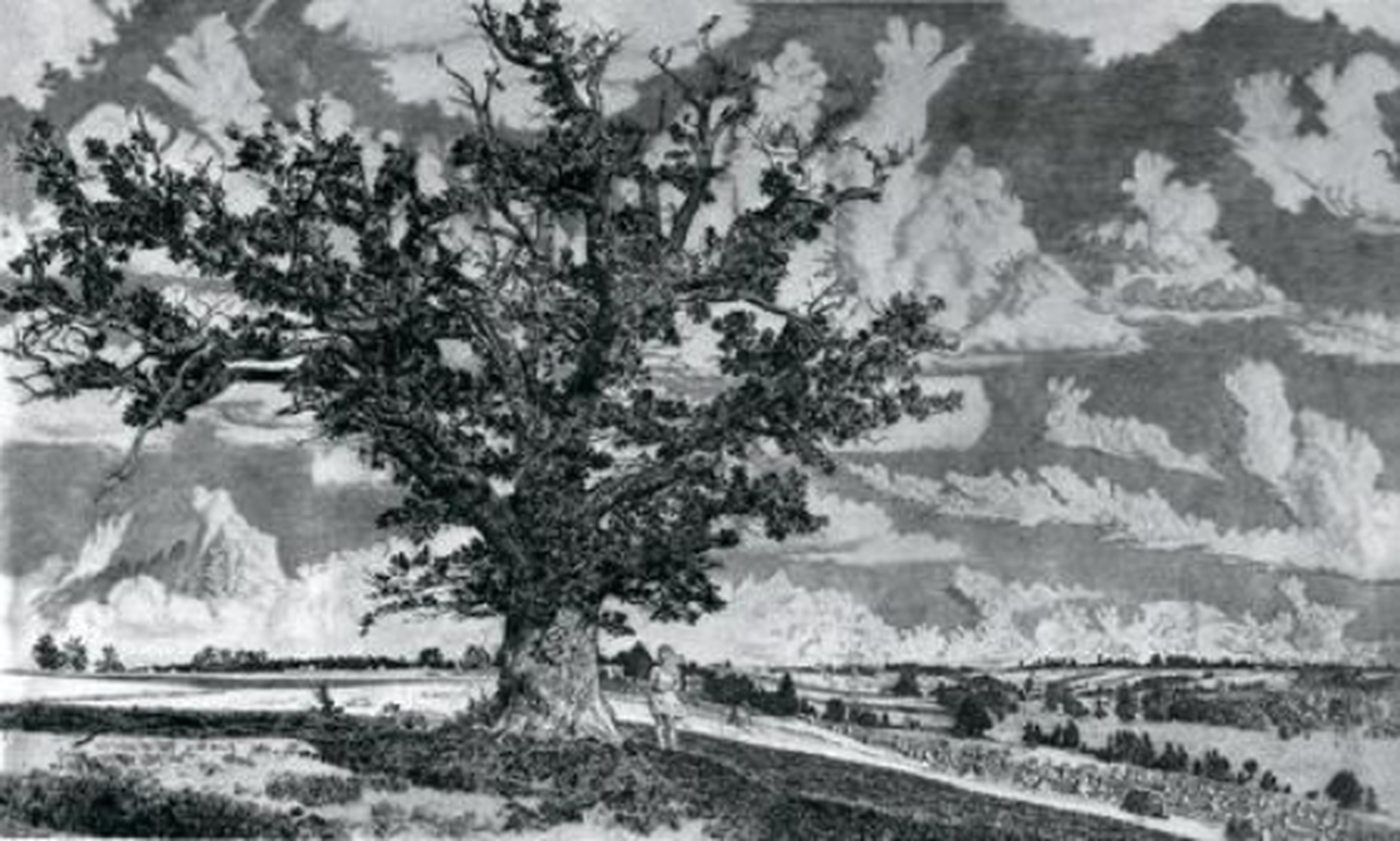 Eduard Wiiralti «Viljandi maastik».