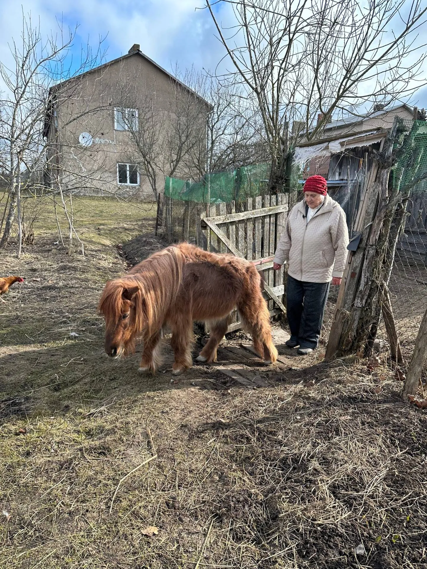 Ферма в Латвии