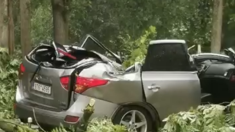 Storm wreaks havoc in Lithuania, toppling trees and damaging buildings