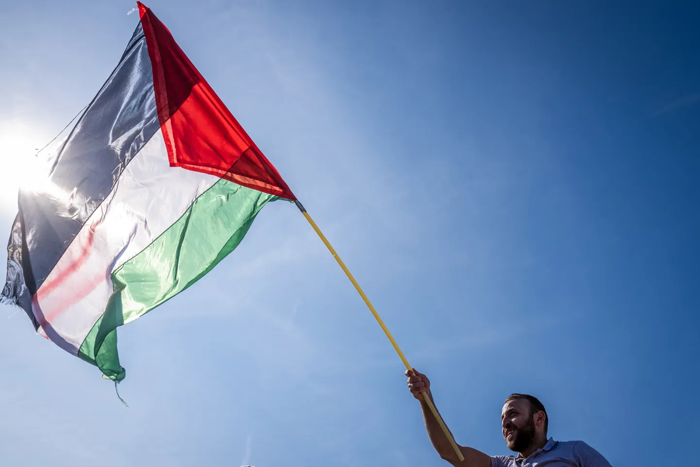Palestiina lipp.