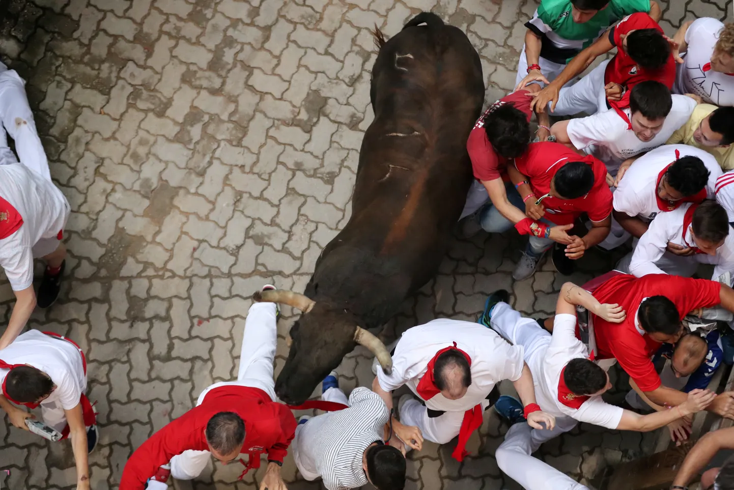 Pamplona San Fermini festivali härjajooks.