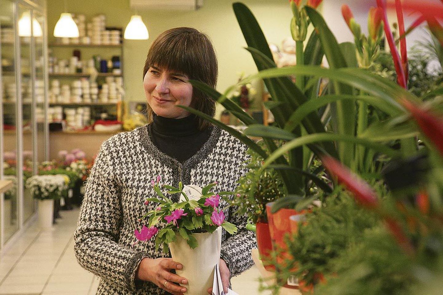 Viola lillepoe müüja Tiiu Pihlak rääkis, et õienuppude moodustamise aegu ei tasu jõulukaktust valguse suhtes keerata.