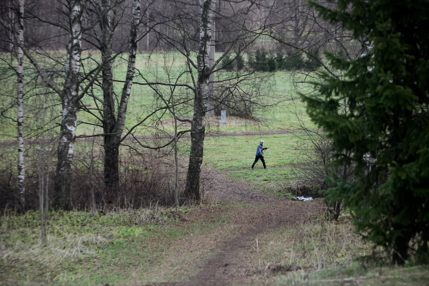 Pildil Tähtvere spordipargi suusarajad.