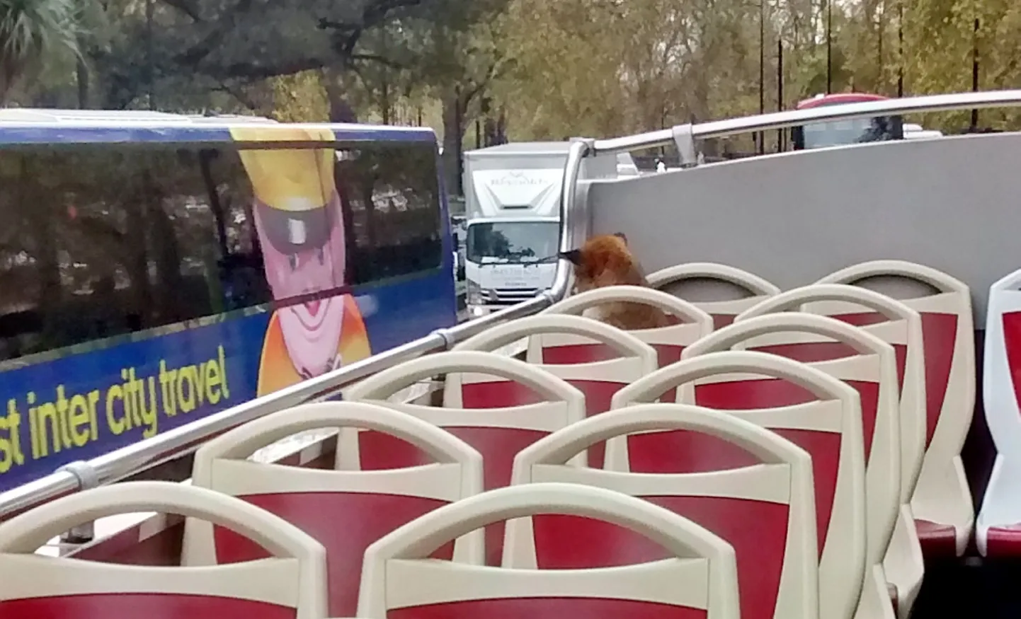 Artikli foto