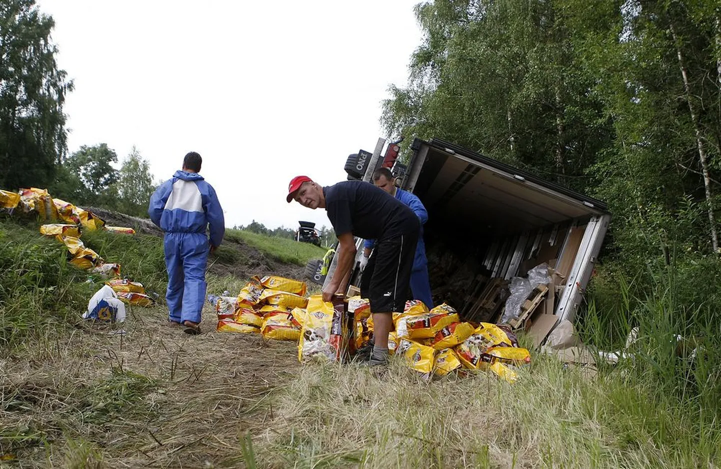 Täna, kella 17.00 paiku läks Tallinn-Pärnu mnt. ümber koeratoitu vedanud veoauto, õnnetuses õnneks keegi viga ei saanud; 30.07.09