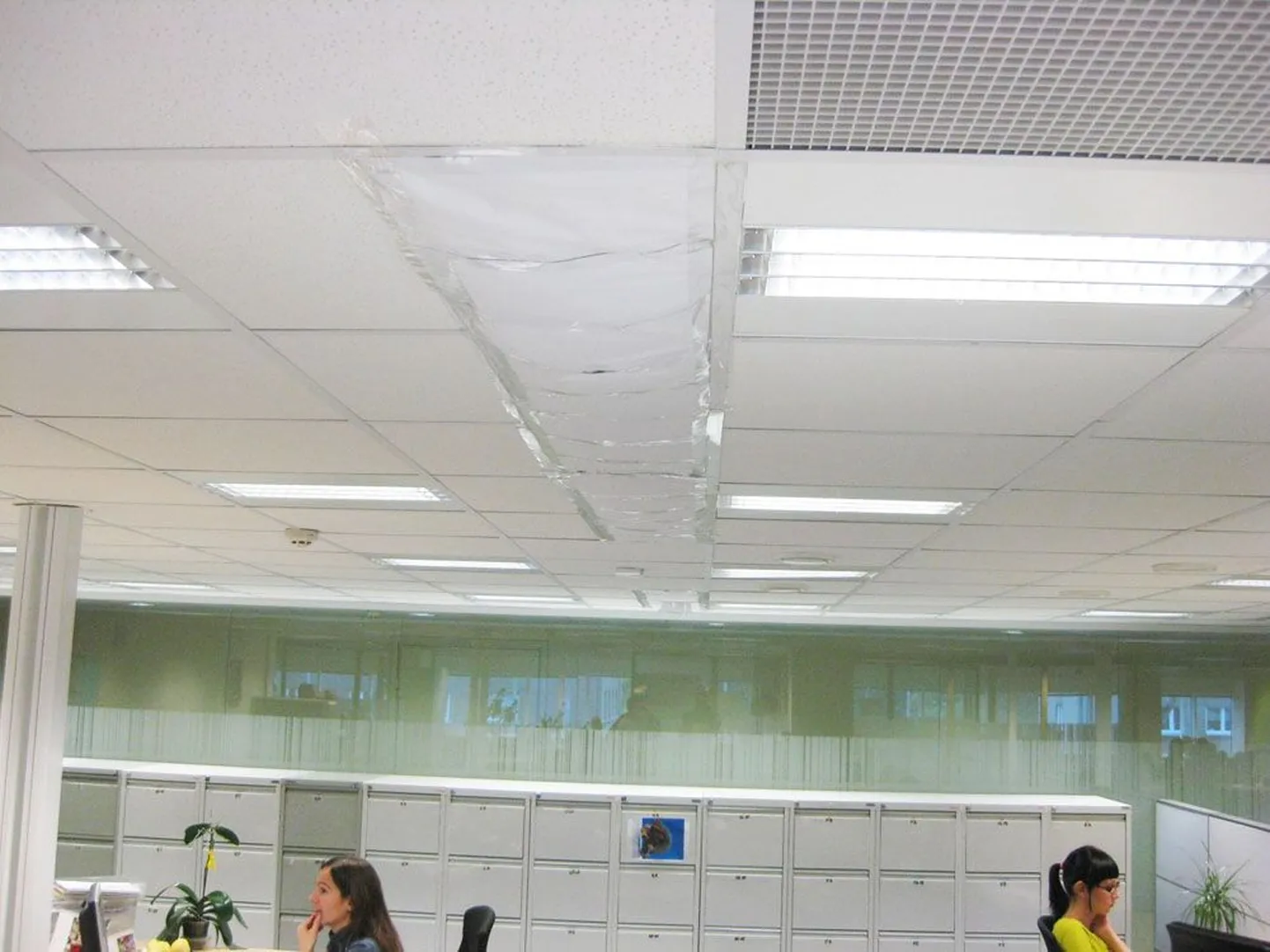 Teibiga kinnikleebitud ventilatsioon ei ole sugugi harv nähtus, kuid see on kasutu ja tuulde on lennanud suur investeering.
