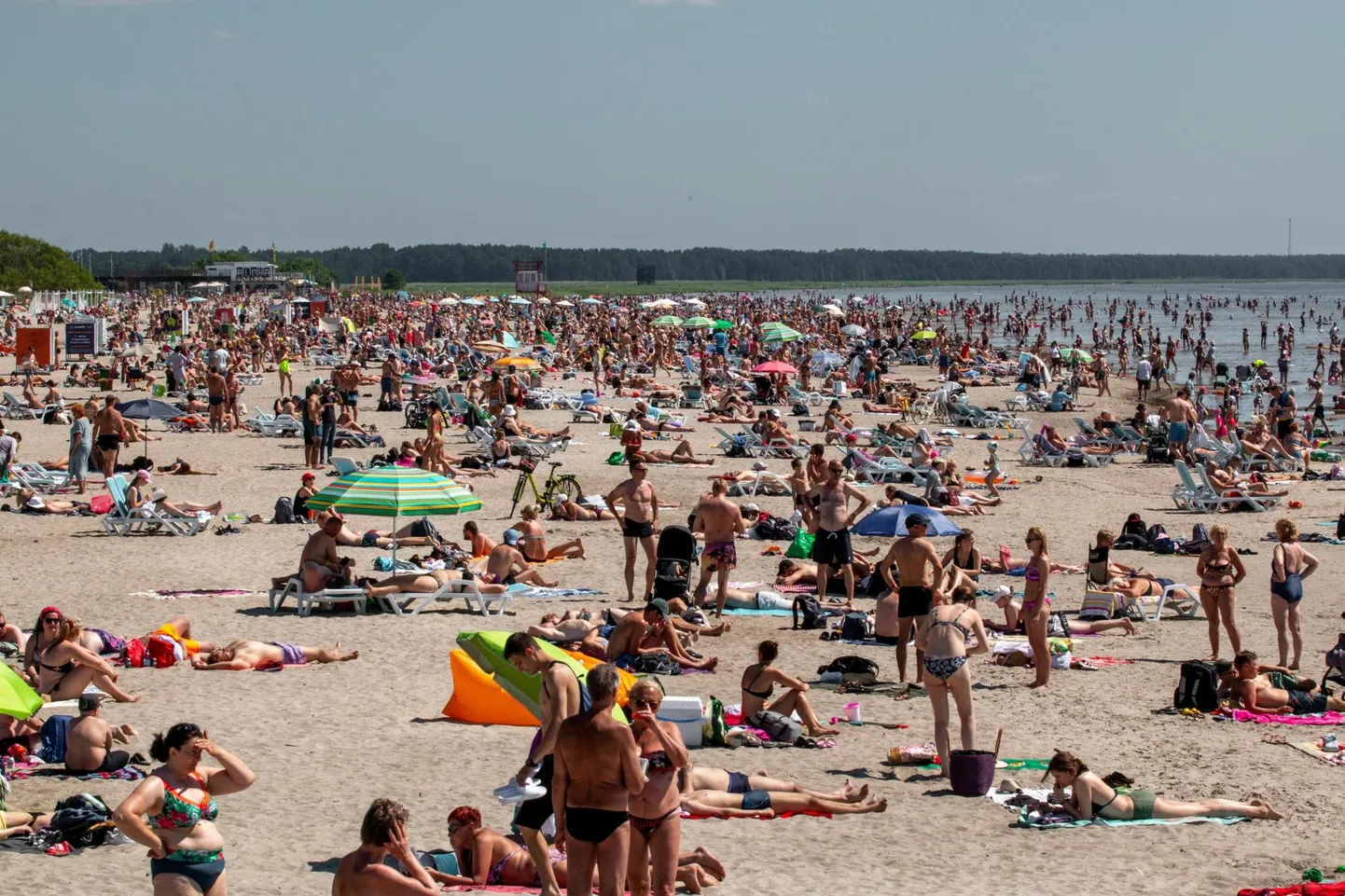 Rannailm. Foto on illustreeriv.