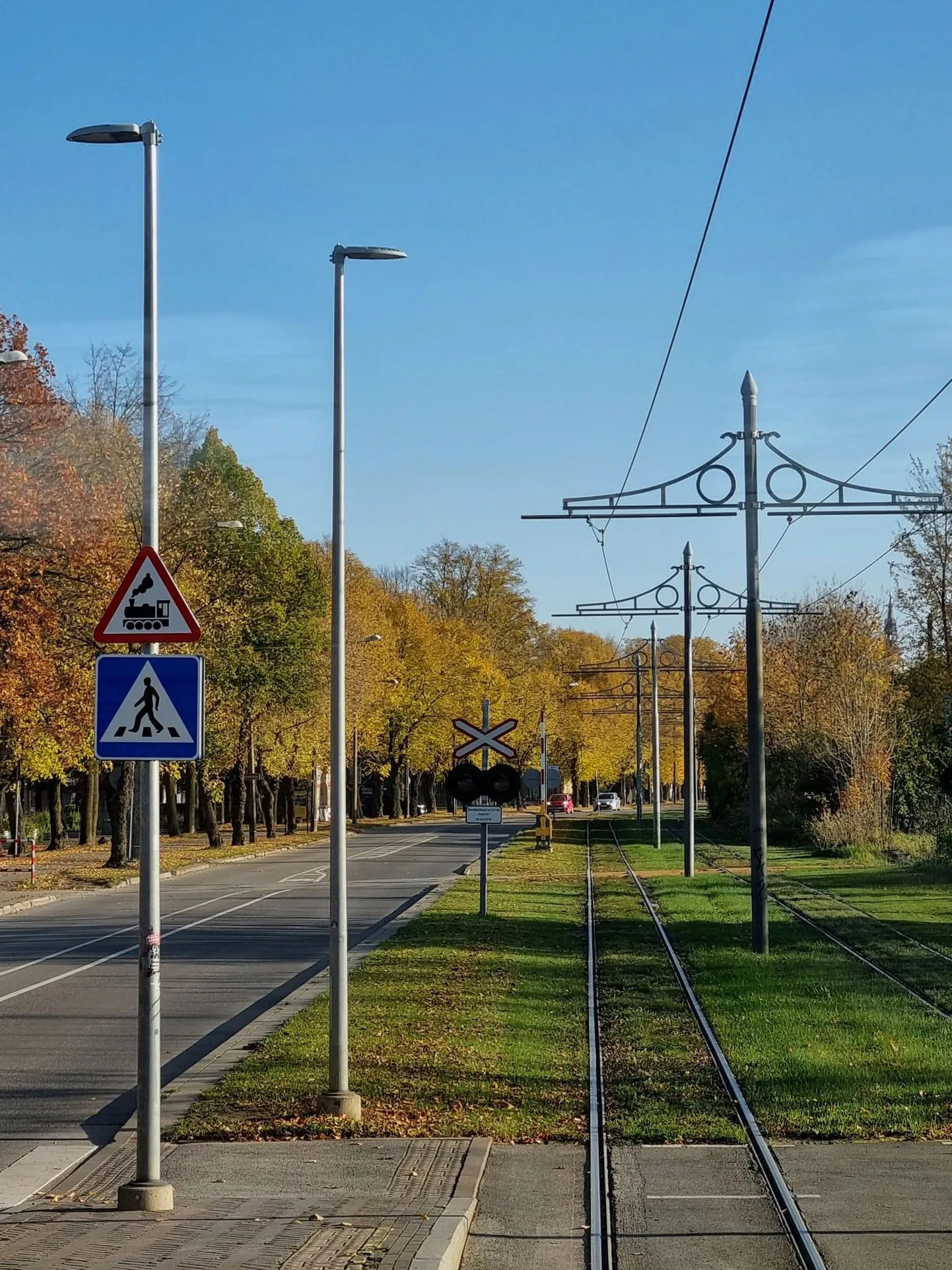 PISARAD SILMIS «Kuradi sitikad, sõna kuulata ei oska!» Tallinlanna ...