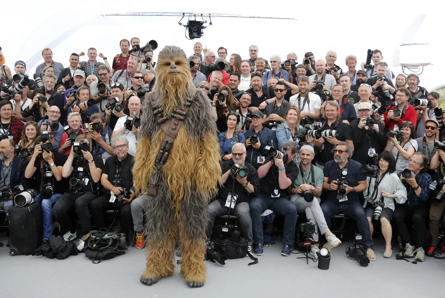 Chewbacca