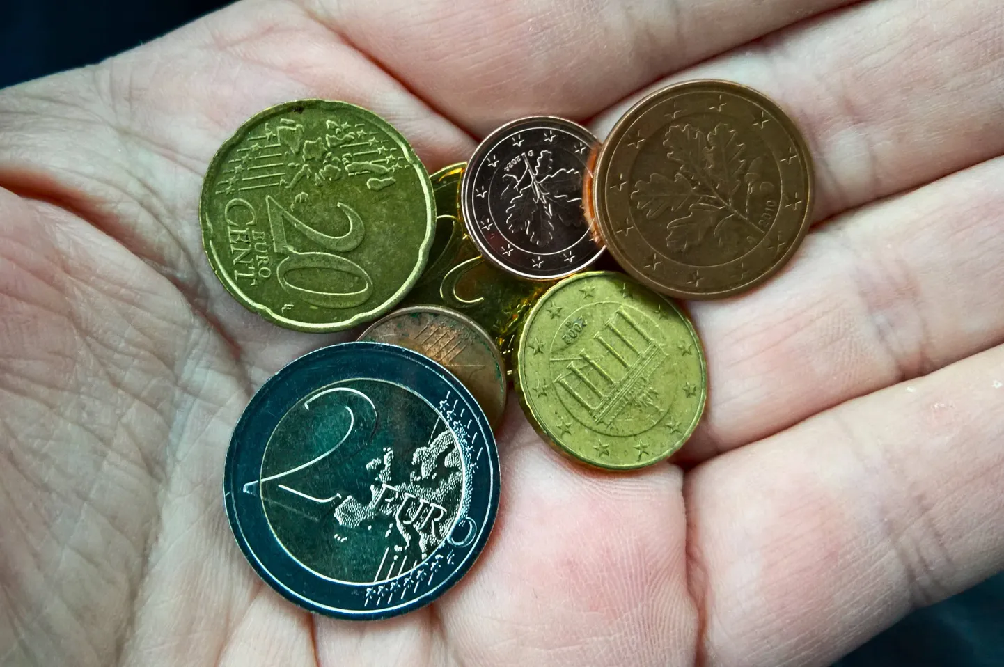 Järgmisel aastal tuleb paljudel Eesti inimestel veelgi püksirihma pingutada, kuna hinnad tõusevad järgmisel aastal 4,3 protsenti.