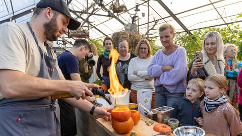 Peakokkade lahing kujunes tuliseks