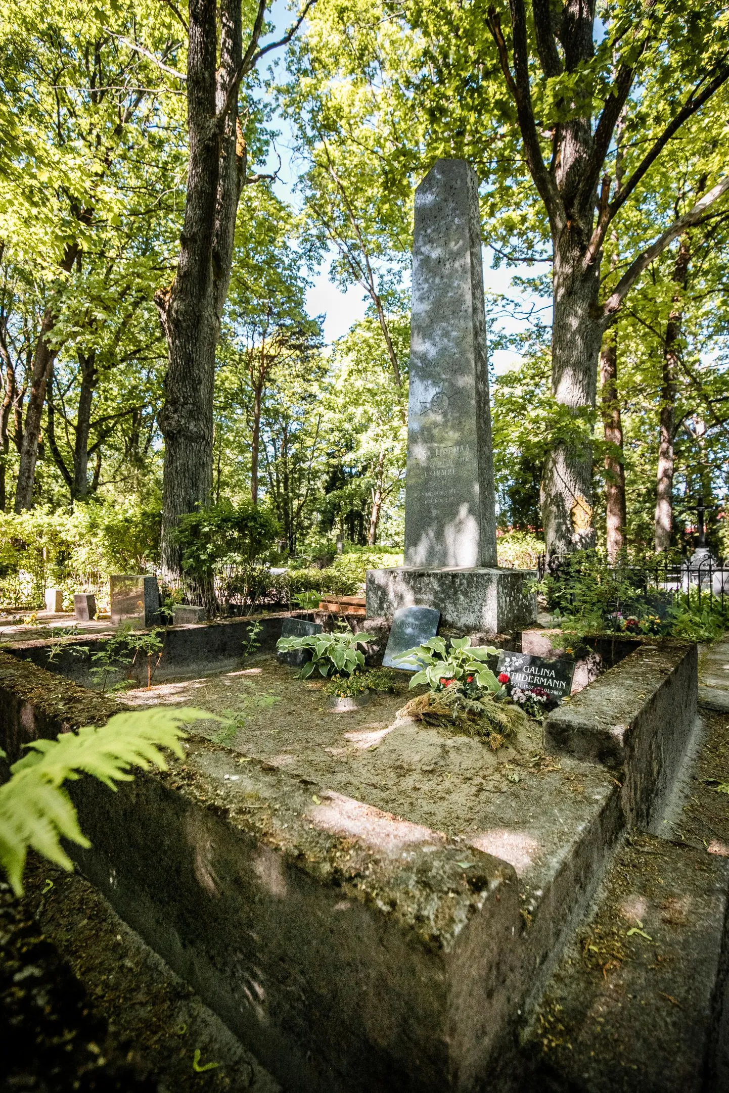 Naiskodukaitse Pärnumaa ringkonna esinaise Elsa Lippmaa kalmule püstitati 1937. aastal hallist graniidist monument.