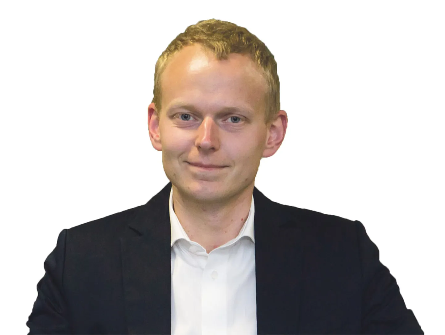 Mihkel Nestor, EB majandusanalüütik
