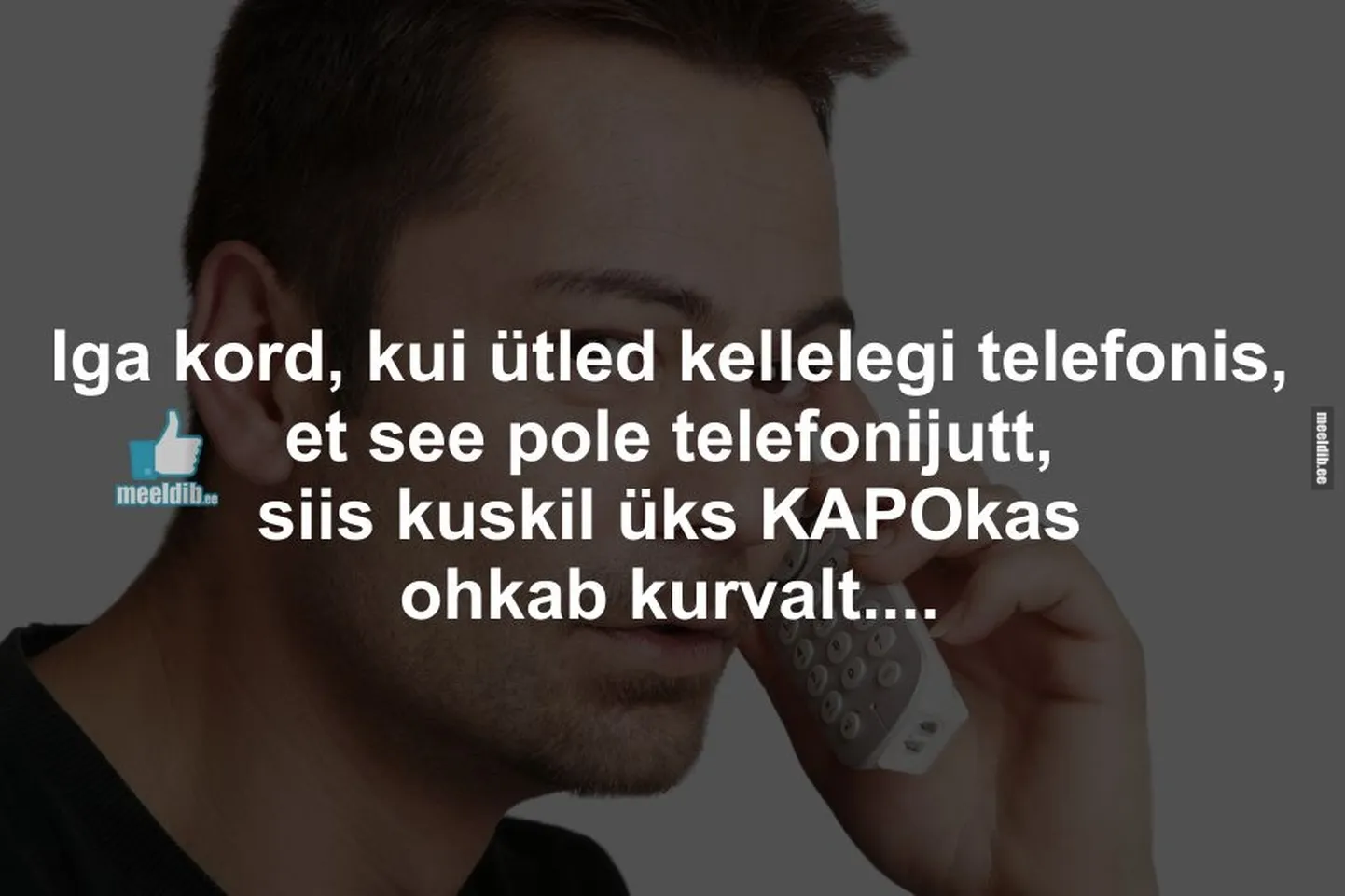 Artikli foto
