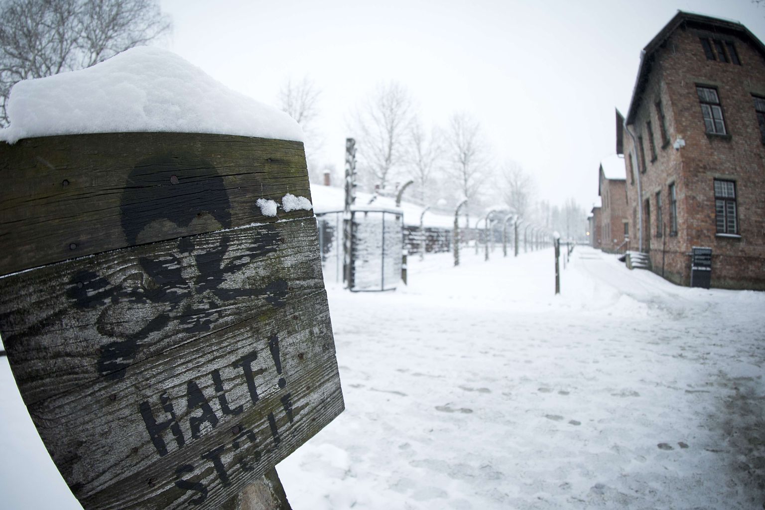 Auschwitz-Birkenau, pilt illustreeriv