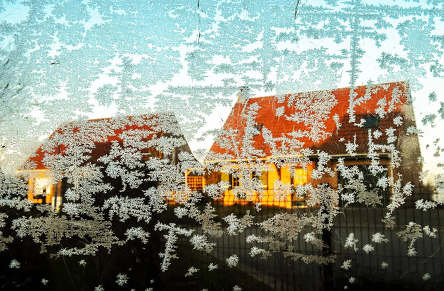 Raksta foto