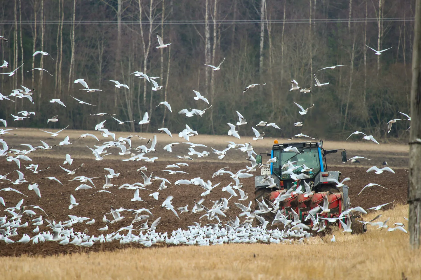 Põllumajandusuuringute Keskuse 2020. aasta kogumiku andmetel on Eestis 10 aastaga erinevate pestitsiidide arv ühe põllumullaproovi kohta kasvanud 0,61-st 7-ni.