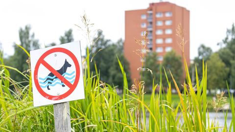 Linlaste kaebused tõid Paala järve äärde keelumärgid