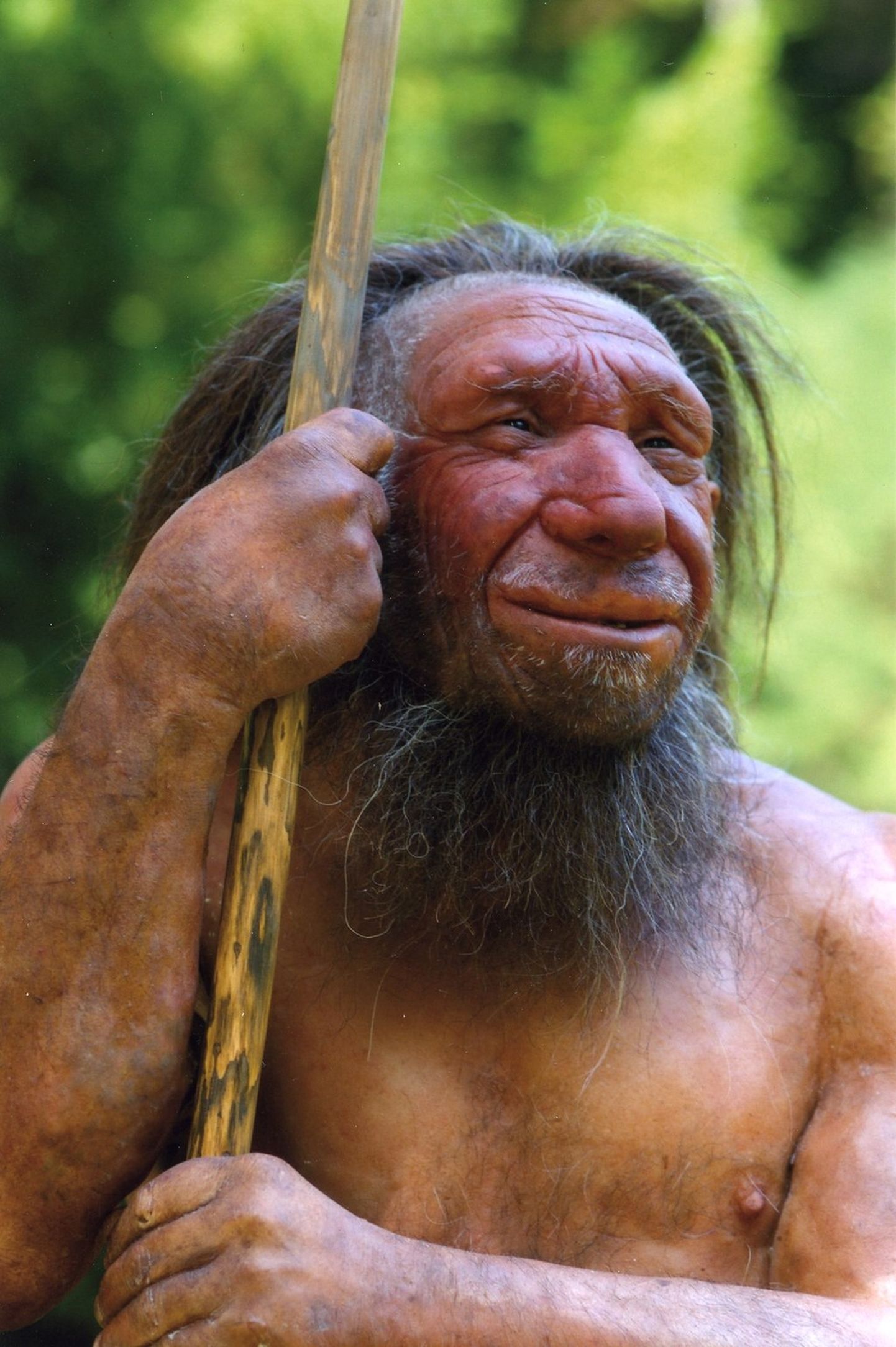 Neandertallase rekonstruktsioon.