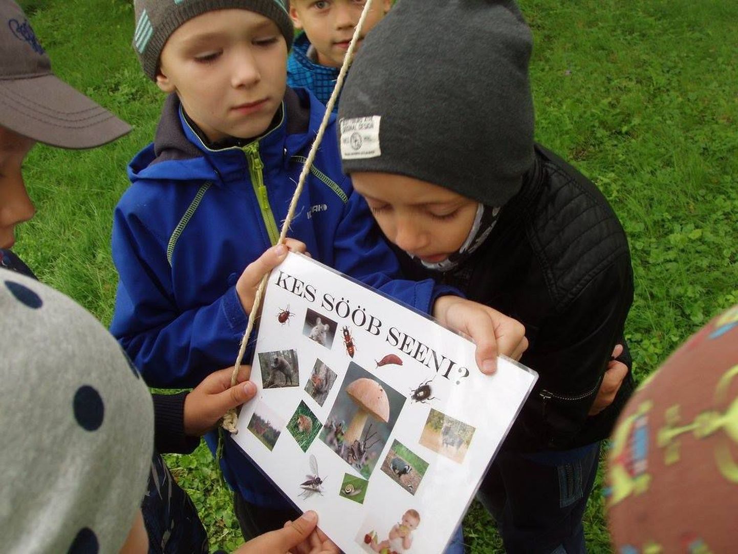 Pillerpalli lasteaia koolieelikud õppisid Pernova loodusmaja hoovil seeni tundma.