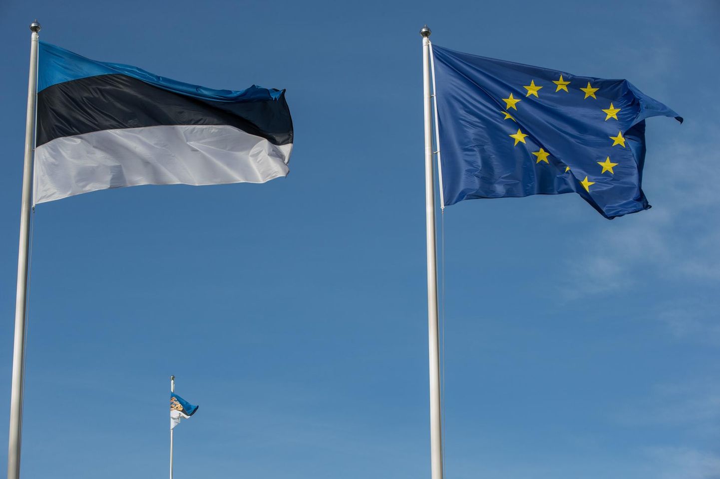 Euroopa Liit, Eesti Vabariik. Lipp, lipud. 12MAR14