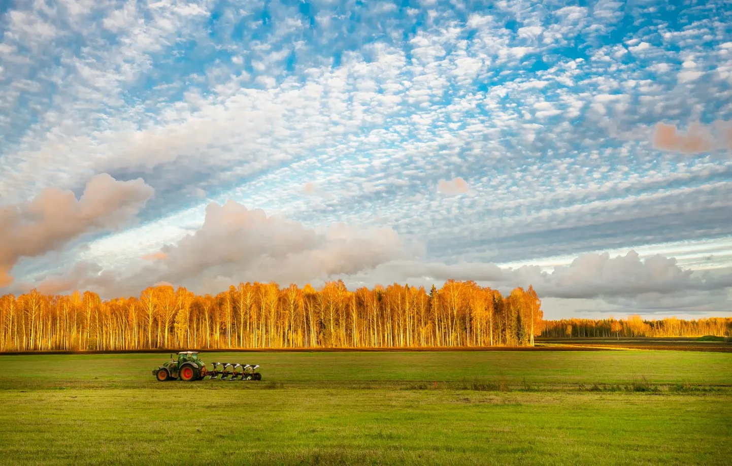 Sügiskünd jätkub, sest põllumees mõtleb kevadkülvile varakult ja maa on veel adrale pehme.