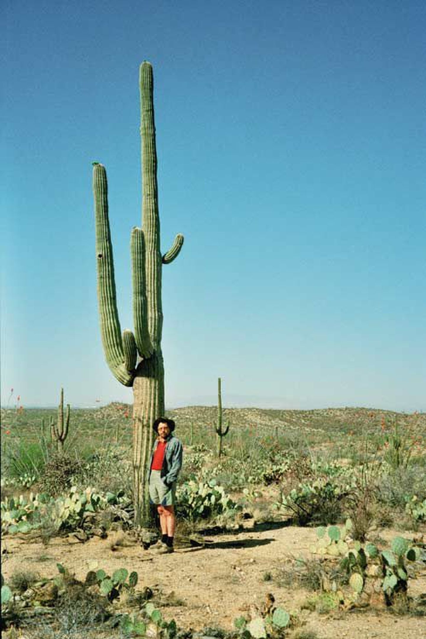 Peeter Sauter kaktusega.