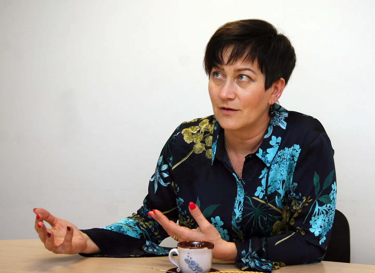 Jane Snaith on veendunud, et tal pole erilisi väljavaateid riigikogusse pääseda, kuid ta loodab, et valimiskampaania võimaldab tal häälekamalt rääkida laste ja perede nõustamise vajadusest.