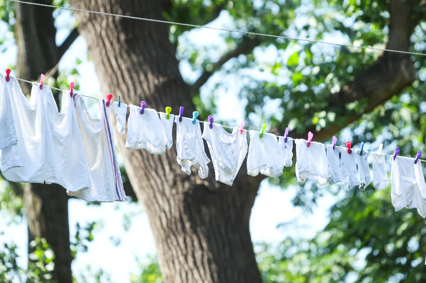 Laundry on washing line